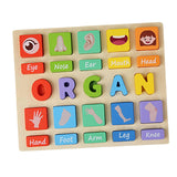 Puzzle Game Practicing Sensory Toy Practical Matching Blocks Montessori Toy Organ