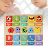 Puzzle Game Practicing Sensory Toy Practical Matching Blocks Montessori Toy Organ