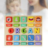 Puzzle Game Practicing Sensory Toy Practical Matching Blocks Montessori Toy Organ