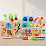 Educational Toy Sorting Education Wooden Sensory Toy for Birthday Girls Boys