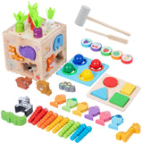 Educational Toy Sorting Education Wooden Sensory Toy for Birthday Girls Boys