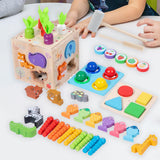 Educational Toy Sorting Education Wooden Sensory Toy for Birthday Girls Boys