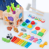 Educational Toy Sorting Education Wooden Sensory Toy for Birthday Girls Boys