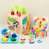 Educational Toy Sorting Education Wooden Sensory Toy for Birthday Girls Boys