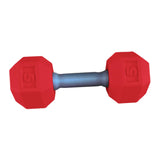 Kids Arm Hand Weights Dumbbell Barbell Toys for Age 3 4 5 6 7 8 Kindergarten Red