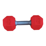 Kids Arm Hand Weights Dumbbell Barbell Toys for Age 3 4 5 6 7 8 Kindergarten Red