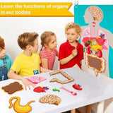 Teaching Body Parts Felt Board Diy Body Structure Puzzle for Gift Kids