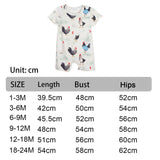 Baby Clothes Breathable Casual Summer Short Sleeve for Party Home Daily Wear 1 to 3 Month