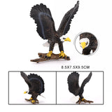 Maxbell 5x Birds Animal Figures Eduactional Toy for Toddlers Children Birthday Gifts