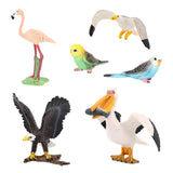 Maxbell 5x Birds Animal Figures Eduactional Toy for Toddlers Children Birthday Gifts