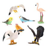 Maxbell 5x Birds Animal Figures Eduactional Toy for Toddlers Children Birthday Gifts