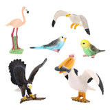 Maxbell 5x Birds Animal Figures Eduactional Toy for Toddlers Children Birthday Gifts