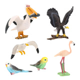 Maxbell 5x Birds Animal Figures Eduactional Toy for Toddlers Children Birthday Gifts