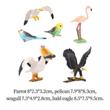 Maxbell 5x Birds Animal Figures Eduactional Toy for Toddlers Children Birthday Gifts