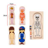 Maxbell Human Body Puzzle Human Body Parts Puzzle for Girls Boys Kids Birthday Gifts Girl