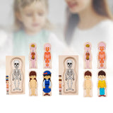 Maxbell Human Body Puzzle Human Body Parts Puzzle for Girls Boys Kids Birthday Gifts Girl