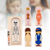 Maxbell Human Body Puzzle Human Body Parts Puzzle for Girls Boys Kids Birthday Gifts Girl