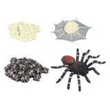 Maxbell Spider Life Cycle Model Biology Model Cake Toppers Cognitive Montessori Toys red