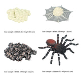 Maxbell Spider Life Cycle Model Biology Model Cake Toppers Cognitive Montessori Toys red