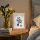 Maxbell Maxbell Creative Photo Frame Wood with Glass Cover Nordic for Living Room Wedding Home