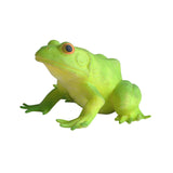 Maxbell Simulation Frog Figurine Cute Sensory Toy for Birthday Gift Kids Party Favor