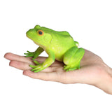 Maxbell Simulation Frog Figurine Cute Sensory Toy for Birthday Gift Kids Party Favor