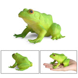 Maxbell Simulation Frog Figurine Cute Sensory Toy for Birthday Gift Kids Party Favor