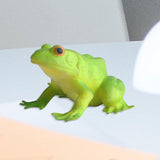 Maxbell Simulation Frog Figurine Cute Sensory Toy for Birthday Gift Kids Party Favor