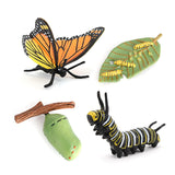 Maxbell Animal Life Cycle Learning Toys Animals Plants Figurines for Party Role Play Style A