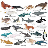 Maxbell 24Pcs Simulation Animals Model Toy for Teaching Prop Boys and Girls Children