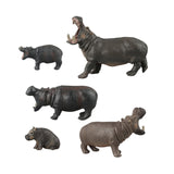 Maxbell 5 Pieces African Hippopotamus Birthday Gift Educational Toy Animals Figurine