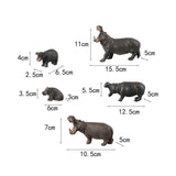 Maxbell 5 Pieces African Hippopotamus Birthday Gift Educational Toy Animals Figurine