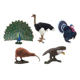 Maxbell 5 Pieces Mini Birds Figurines Model Artificial Birds Figure Toys for Kids Toy Style D