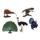 Maxbell 5 Pieces Mini Birds Figurines Model Artificial Birds Figure Toys for Kids Toy Style D