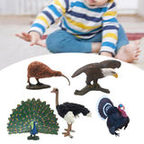 Maxbell 5 Pieces Mini Birds Figurines Model Artificial Birds Figure Toys for Kids Toy Style D