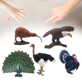 Maxbell 5 Pieces Mini Birds Figurines Model Artificial Birds Figure Toys for Kids Toy Style D