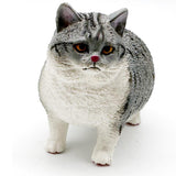 Maxbell 2x Cat Model Statue Collectible Realistic for Cabinet Living Room