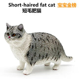 Maxbell 2x Cat Model Statue Collectible Realistic for Cabinet Living Room