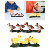 Maxbell Duck Animal Figure Realistic Mini Decor Simulated Animal Model for Kids Brown