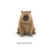 Maxbell Cute Capybara Plush Toy Ornament Capybara Stuffed Aniamls Toy for Home Decor