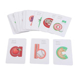 Maxbell Toddlers Flash Cards Preschool Toddlers Flashcards for Babies Infants Toddlers