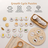 Maxbell Life Cycle Toys Set Wooden Sorting Matching Toy for Boys Girls Children Kids Round Disk with Base