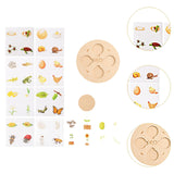 Maxbell Life Cycle Toys Set Wooden Sorting Matching Toy for Boys Girls Children Kids Round Disk with Base