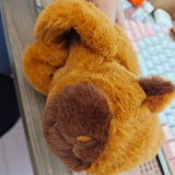 Maxbell Capybara Slap Bracelets with Backpack Birthday Gifts Capybara Stuffed Animal