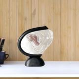 Maxbell Uterus Model Lab Gift Biology Teaching Aids Clear Reproductive Uterine Model
