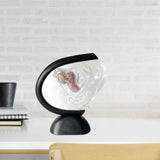Maxbell Uterus Model Lab Gift Biology Teaching Aids Clear Reproductive Uterine Model