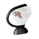 Maxbell Uterus Model Lab Gift Biology Teaching Aids Clear Reproductive Uterine Model