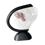 Maxbell Uterus Model Lab Gift Biology Teaching Aids Clear Reproductive Uterine Model