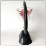 Maxbell Uterus Model Lab Gift Biology Teaching Aids Clear Reproductive Uterine Model