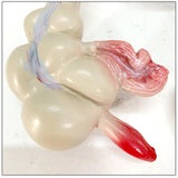 Maxbell Human Colon Model Realistic Colon Pathology Model for Lab Training Classroom
